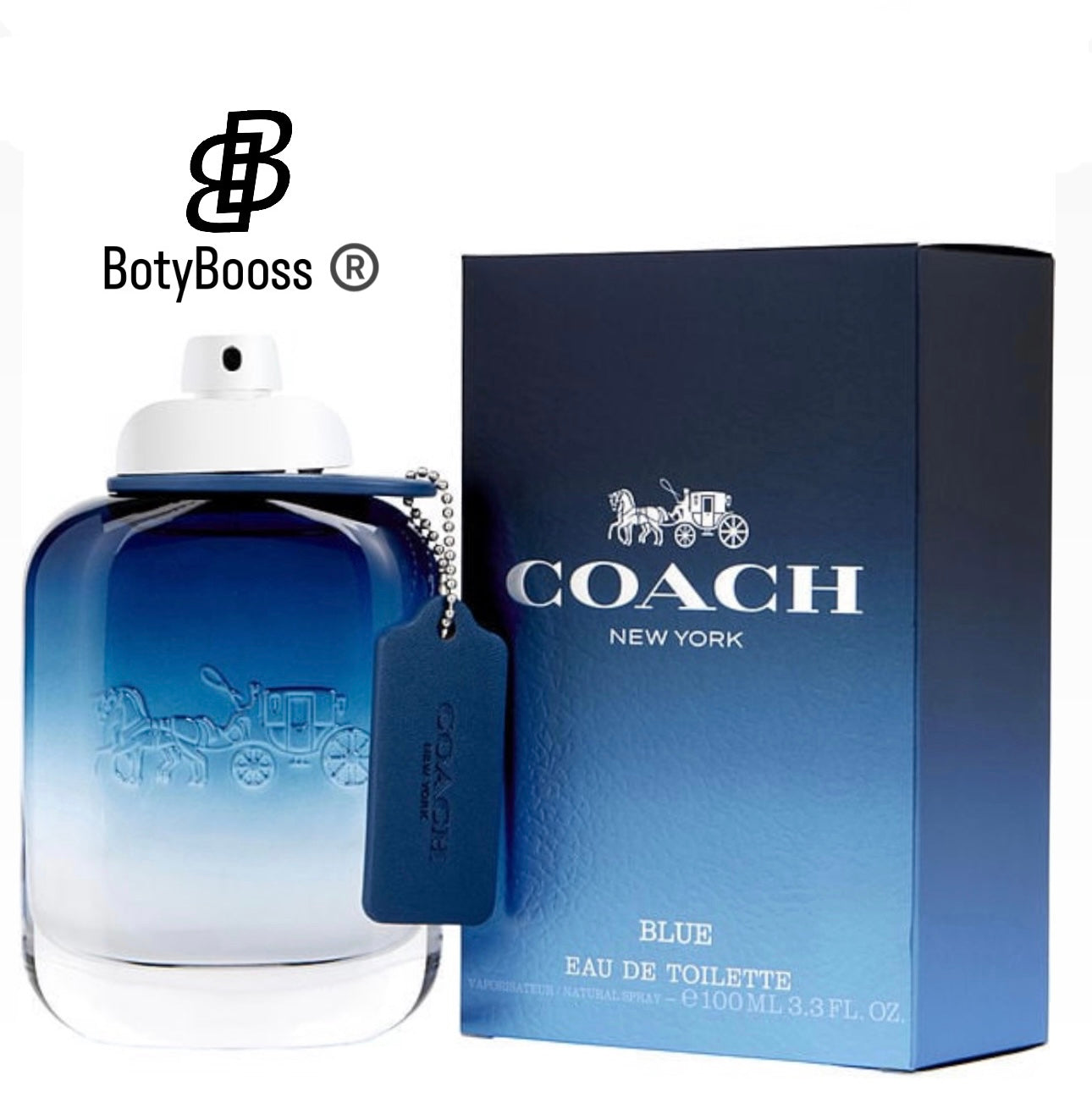 Coach Blue Toilette